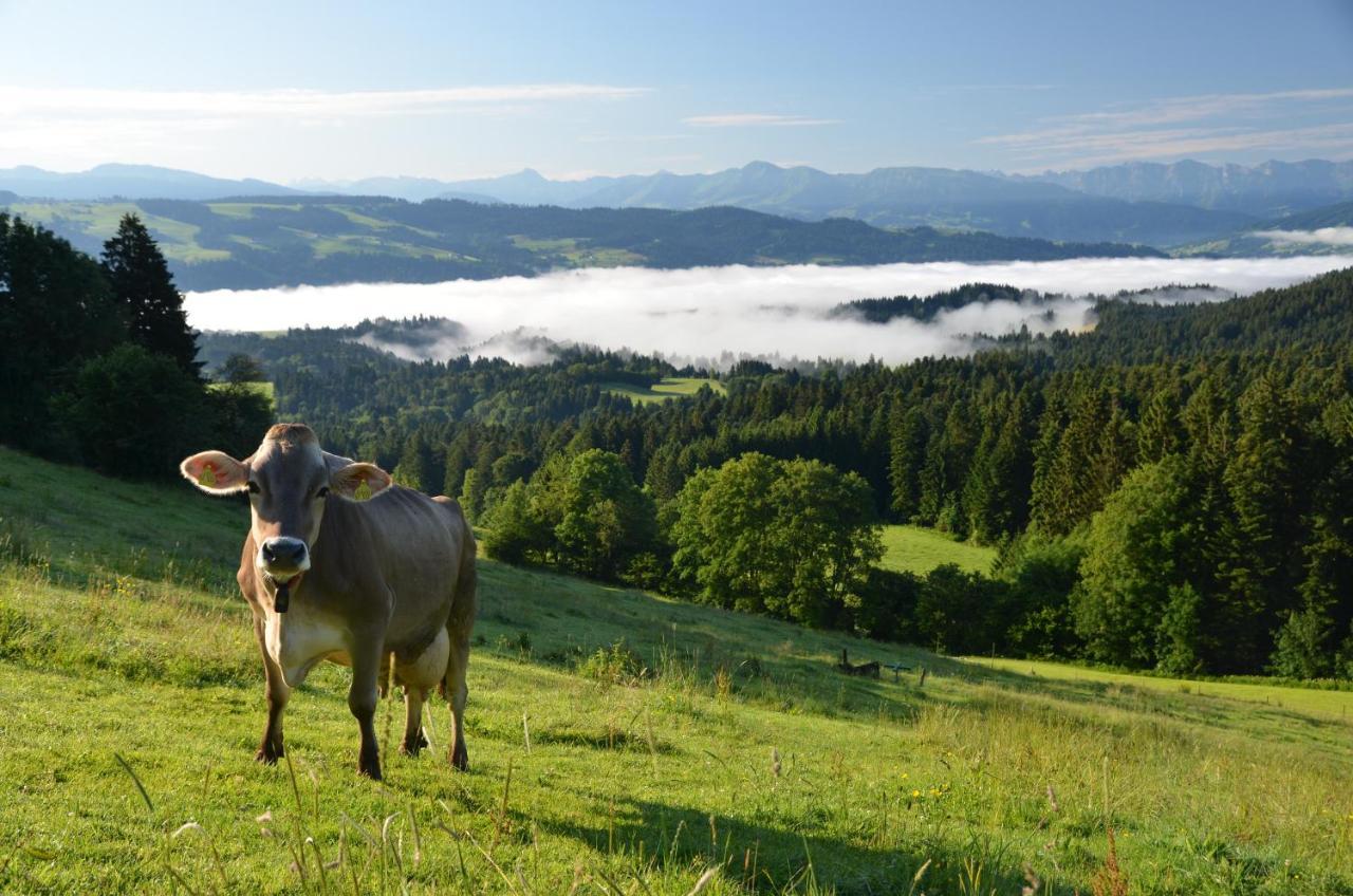 Hotel Alpenrose Gut Schlafen & Fruehstuecken Scheidegg Dış mekan fotoğraf