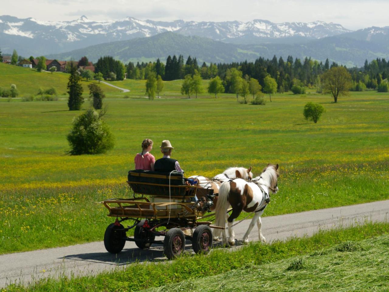 Hotel Alpenrose Gut Schlafen & Fruehstuecken Scheidegg Dış mekan fotoğraf